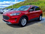 Certified 2022 Ford Escape SE image 3