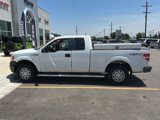 Used 2010 Ford F150 XL image 2