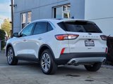 Certified 2022 Ford Escape SEL image 4