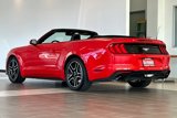 Used 2023 Ford Mustang Premium image 6