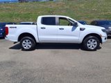 Certified 2019 Ford Ranger XLT w/ Equipment Group 301A Mid image 2