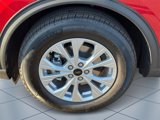 New 2025 Ford Escape Active w/ Tech Pack #1 image 5