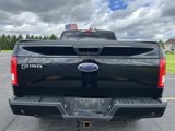 Used 2016 Ford F150 XLT w/ Equipment Group 302A Luxury image 5