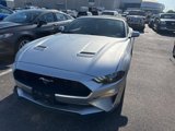 Used 2019 Ford Mustang Premium image 2