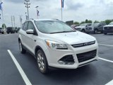 Used 2015 Ford Escape Titanium image 4