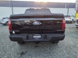 New 2024 Ford F150 XL image 5