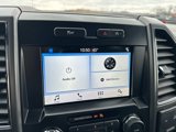 Used 2018 Ford F150 XLT w/ Equipment Group 302A Luxury image 4
