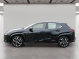 Used 2022 Lexus UX 250h w/ Premium Package image 3