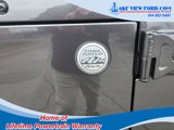 Used 2021 Jeep Wrangler Unlimited Sport image 6