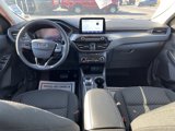 Used 2024 Ford Escape Active image 2