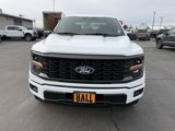 New 2025 Ford F150 STX image 3