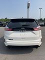 Used 2021 Ford Edge ST-Line w/ Cargo Accessory Package image 4