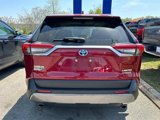 Used 2019 Toyota RAV4 Limited image 4