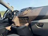 Used 2019 Ford Transit 250 130 Low Roof w/ Exterior Upgrade Package image 2