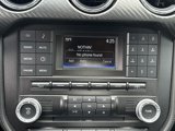 Used 2015 Ford Mustang Coupe w/ Equipment Group 051A image 3