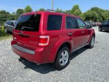 Used 2011 Ford Escape XLT w/ 202A Rapid Spec Order Code image 5