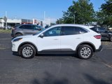 Used 2020 Ford Escape SE image 4