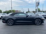 Certified 2020 Ford Mustang Premium image 4