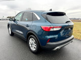 Used 2020 Ford Escape SE image 5