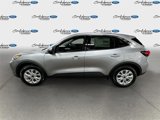 New 2024 Ford Escape Active w/ Cold Weather Package image 4