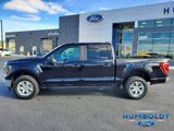 Certified 2023 Ford F150 XLT image 5