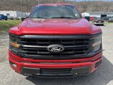 New 2025 Ford F150 XLT w/ Equipment Group 301A Standard image 6
