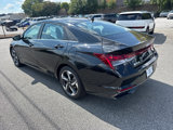 Certified 2022 Hyundai Elantra Limited image 5