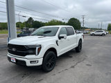 New 2025 Ford F150 Platinum image 3