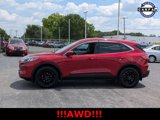 Used 2020 Ford Escape SE image 5