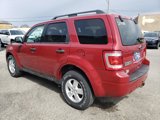 Used 2010 Ford Escape XLT image 5