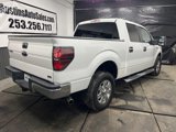 Used 2010 Ford F150 XLT image 3