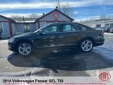 Used 2014 Volkswagen Passat 1.8T SEL Premium image 6
