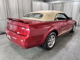 Used 2005 Ford Mustang Premium image 4