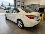 Used 2017 Toyota Corolla LE image 4