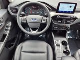Used 2022 Ford Escape SEL image 6