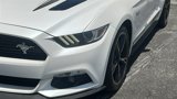 Certified 2017 Ford Mustang GT Premium image 4