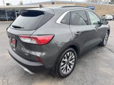 Used 2020 Ford Escape Titanium image 3