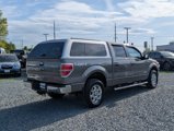 Used 2013 Ford F150 XLT w/ Luxury Equipment Group image 6