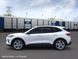 New 2025 Ford Escape ST-Line w/ Tech Pack #1 image 3