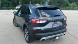 Certified 2020 Ford Escape SEL image 4
