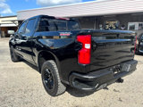 Used 2021 Chevrolet Silverado 1500 LT Trail Boss w/ Convenience Package II image 6