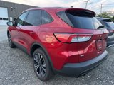 Used 2021 Ford Escape SE w/ SE Sport Appearance Package image 5