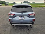 Certified 2022 Ford Escape SEL image 6