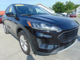 Used 2020 Ford Escape SE image 2
