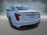 New 2025 Cadillac CT5 Premium Luxury image 3