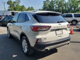 Used 2020 Ford Escape SE image 5