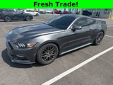 Used 2015 Ford Mustang Coupe w/ Equipment Group 051A image 3