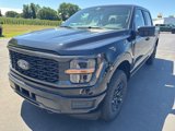 New 2025 Ford F150 STX image 3