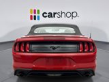 Used 2019 Ford Mustang Premium w/ Equipment Group 201A image 3