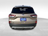 Used 2020 Ford Escape Titanium image 5